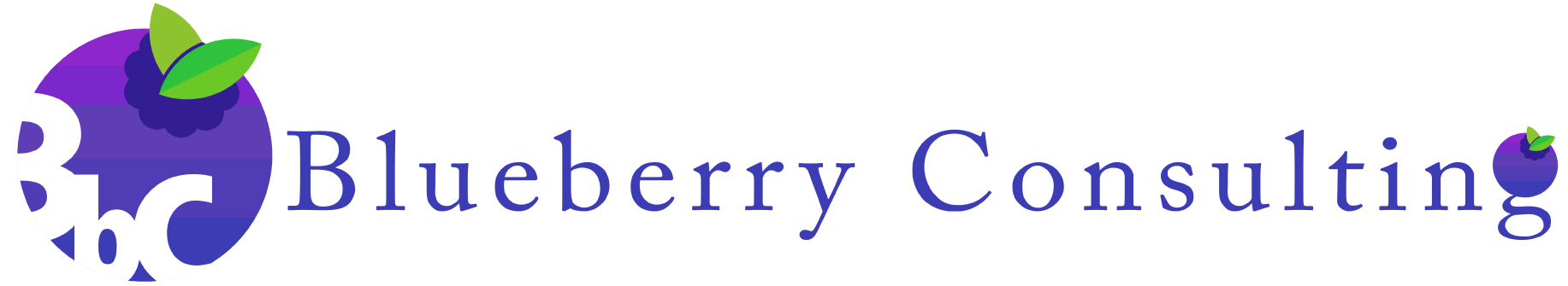 Blueberries Consulting